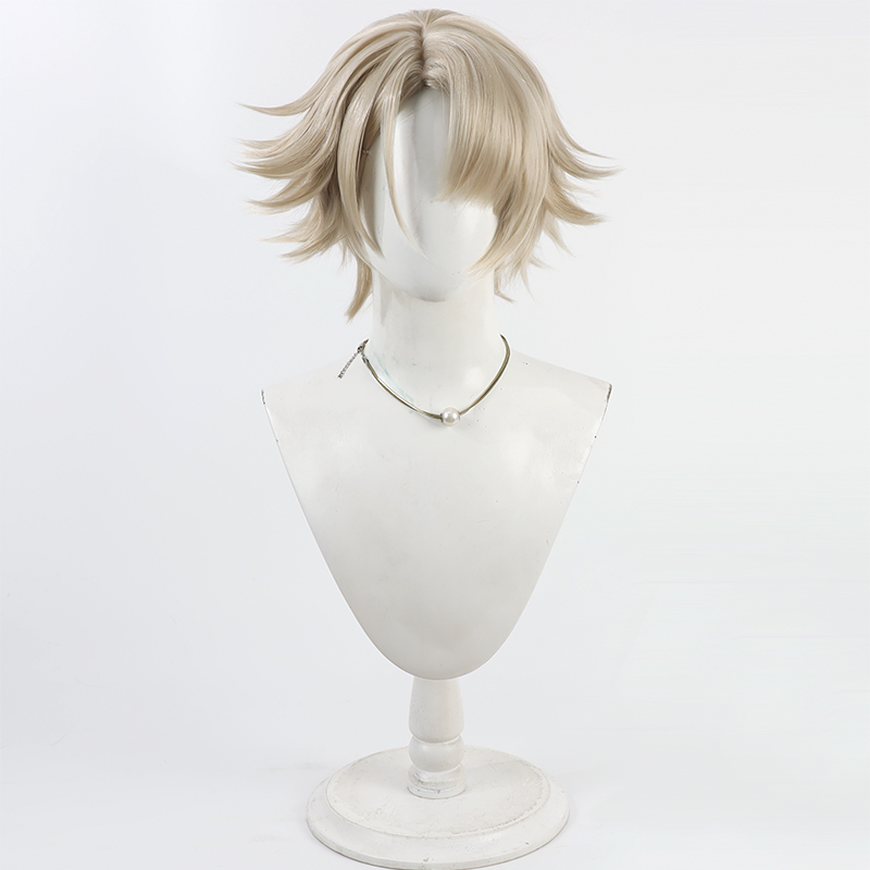 Vector Cosplay Wig Girls Front - Anime Cosplay Wig Heat Resistant recension och pris