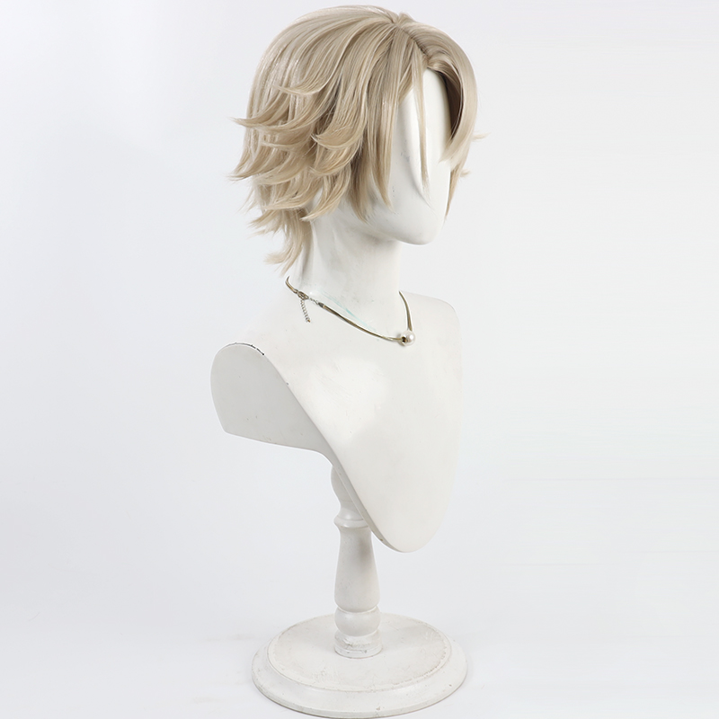 Vector Cosplay Wig Girls Front - Anime Cosplay Wig Heat Resistant recension och pris