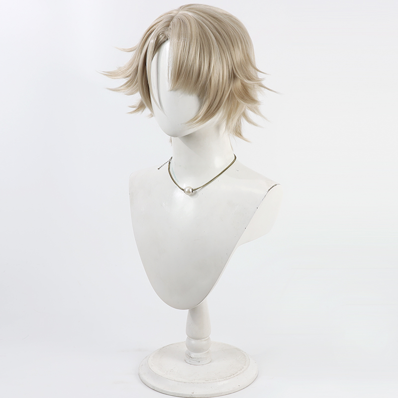 Vector Cosplay Wig Girls Front - Anime Cosplay Wig Heat Resistant recension och pris
