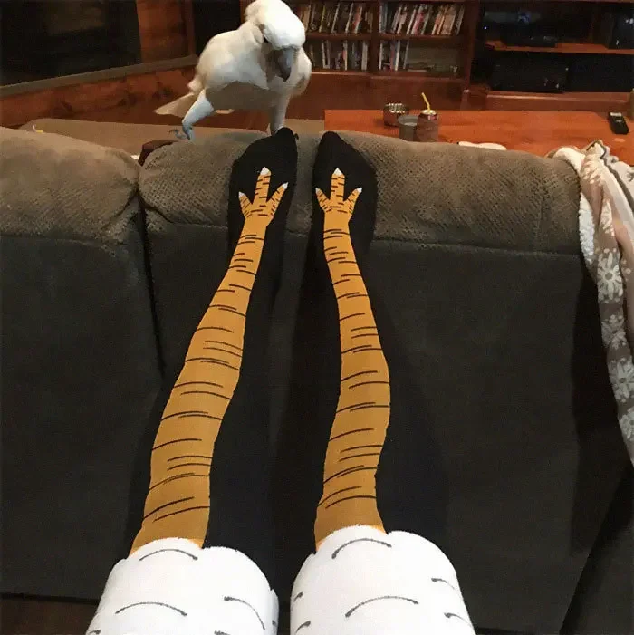 40Pairs 3D Funny Chicken Claw  - Funny Chicken Leg Socks recension och pris